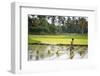 A Paddy Farmer at Work in a Rice Field, Sumba, Indonesia, Southeast Asia, Asia-James Morgan-Framed Photographic Print