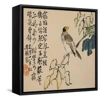 A Page (Bird) from Flowers and Bird, Vegetables and Fruit-Li Shan-Framed Stretched Canvas