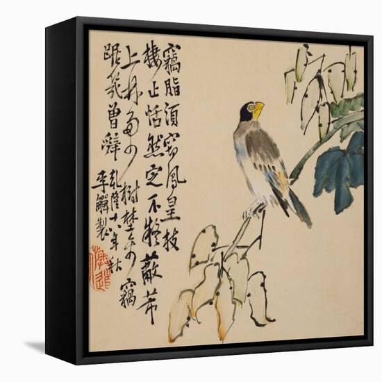 A Page (Bird) from Flowers and Bird, Vegetables and Fruit-Li Shan-Framed Stretched Canvas