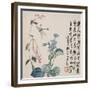 A Page (Dragonfly) from Flowers and Bird, Vegetables and Fruits-Li Shan-Framed Giclee Print