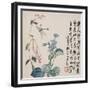 A Page (Dragonfly) from Flowers and Bird, Vegetables and Fruits-Li Shan-Framed Giclee Print