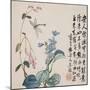 A Page (Dragonfly) from Flowers and Bird, Vegetables and Fruits-Li Shan-Mounted Giclee Print