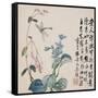 A Page (Dragonfly) from Flowers and Bird, Vegetables and Fruits-Li Shan-Framed Stretched Canvas