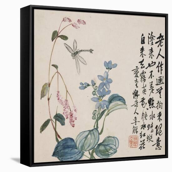 A Page (Dragonfly) from Flowers and Bird, Vegetables and Fruits-Li Shan-Framed Stretched Canvas