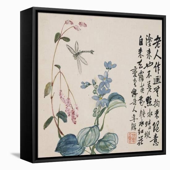 A Page (Dragonfly) from Flowers and Bird, Vegetables and Fruits-Li Shan-Framed Stretched Canvas