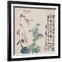 A Page (Dragonfly) from Flowers and Bird, Vegetables and Fruits-Li Shan-Framed Giclee Print