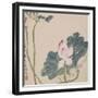 A Page (Flowers) from Flowers and Bird, Vegetables and Fruits-Li Shan-Framed Giclee Print