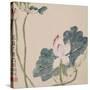 A Page (Flowers) from Flowers and Bird, Vegetables and Fruits-Li Shan-Stretched Canvas