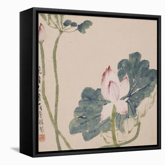 A Page (Flowers) from Flowers and Bird, Vegetables and Fruits-Li Shan-Framed Stretched Canvas