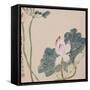 A Page (Flowers) from Flowers and Bird, Vegetables and Fruits-Li Shan-Framed Stretched Canvas