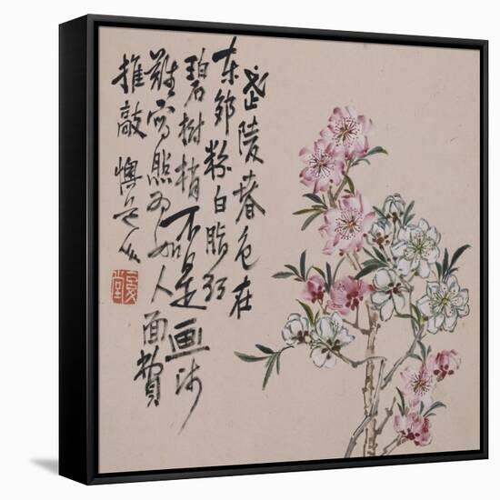 A Page (Flowers) from Flowers and Bird, Vegetables and Fruits-Li Shan-Framed Stretched Canvas