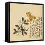 A Page (Flowers) from Flowers and Bird, Vegetables and Fruits-Li Shan-Framed Stretched Canvas