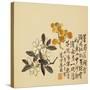 A Page (Flowers) from Flowers and Bird, Vegetables and Fruits-Li Shan-Stretched Canvas