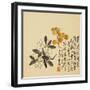 A Page (Flowers) from Flowers and Bird, Vegetables and Fruits-Li Shan-Framed Giclee Print