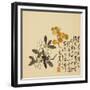 A Page (Flowers) from Flowers and Bird, Vegetables and Fruits-Li Shan-Framed Giclee Print