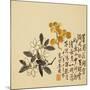 A Page (Flowers) from Flowers and Bird, Vegetables and Fruits-Li Shan-Mounted Giclee Print