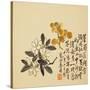 A Page (Flowers) from Flowers and Bird, Vegetables and Fruits-Li Shan-Stretched Canvas