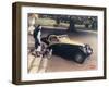 A Page from a 1935 Bugatti Brochure-null-Framed Photographic Print