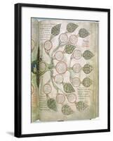 A page from Liber Floridus, 12th century. Artist: Unknown-Unknown-Framed Giclee Print