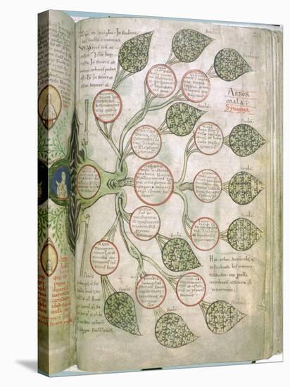 A page from Liber Floridus, 12th century. Artist: Unknown-Unknown-Stretched Canvas