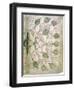 A page from Liber Floridus, 12th century. Artist: Unknown-Unknown-Framed Giclee Print