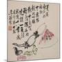 A Page (Melon) from Flowers and Bird, Vegetables and Fruits-Li Shan-Mounted Giclee Print