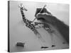 A Pain in the Neck-Thomas Barbey-Stretched Canvas
