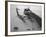 A Pain in the Neck-Thomas Barbey-Framed Giclee Print