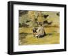 A Painter at Work-Paul Cézanne-Framed Giclee Print