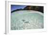 A Pair Blue Starfish on the Seafloor of Raja Ampat, Indonesia-Stocktrek Images-Framed Photographic Print