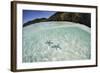 A Pair Blue Starfish on the Seafloor of Raja Ampat, Indonesia-Stocktrek Images-Framed Photographic Print