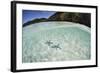 A Pair Blue Starfish on the Seafloor of Raja Ampat, Indonesia-Stocktrek Images-Framed Photographic Print