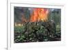 A Pair of Albertaceratops Running Away from a Forest Fire-null-Framed Art Print