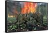 A Pair of Albertaceratops Running Away from a Forest Fire-null-Framed Stretched Canvas