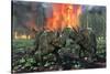 A Pair of Albertaceratops Running Away from a Forest Fire-null-Stretched Canvas