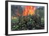 A Pair of Albertaceratops Running Away from a Forest Fire-null-Framed Art Print