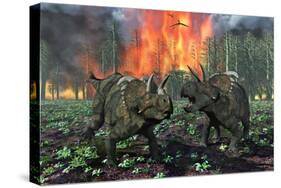 A Pair of Albertaceratops Running Away from a Forest Fire-null-Stretched Canvas