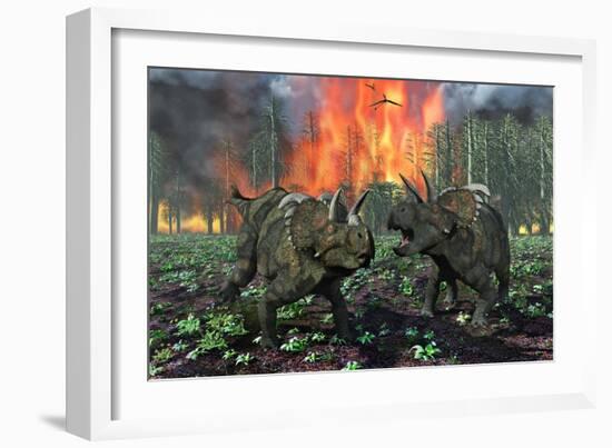 A Pair of Albertaceratops Running Away from a Forest Fire-null-Framed Art Print