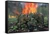 A Pair of Albertaceratops Running Away from a Forest Fire-null-Framed Stretched Canvas