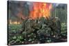 A Pair of Albertaceratops Running Away from a Forest Fire-null-Stretched Canvas