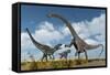 A Pair of Allosaurus Dinosaurs Confront a Giant Diplodocus-null-Framed Stretched Canvas