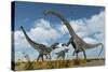 A Pair of Allosaurus Dinosaurs Confront a Giant Diplodocus-null-Stretched Canvas