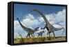 A Pair of Allosaurus Dinosaurs Confront a Giant Diplodocus-null-Framed Stretched Canvas