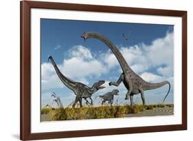 A Pair of Allosaurus Dinosaurs Confront a Giant Diplodocus-null-Framed Art Print