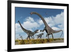 A Pair of Allosaurus Dinosaurs Confront a Giant Diplodocus-null-Framed Art Print