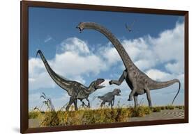 A Pair of Allosaurus Dinosaurs Confront a Giant Diplodocus-null-Framed Art Print