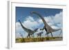 A Pair of Allosaurus Dinosaurs Confront a Giant Diplodocus-null-Framed Art Print