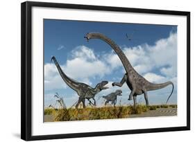 A Pair of Allosaurus Dinosaurs Confront a Giant Diplodocus-null-Framed Art Print