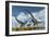 A Pair of Allosaurus Dinosaurs Confront a Giant Diplodocus-null-Framed Art Print