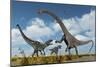 A Pair of Allosaurus Dinosaurs Confront a Giant Diplodocus-null-Mounted Art Print